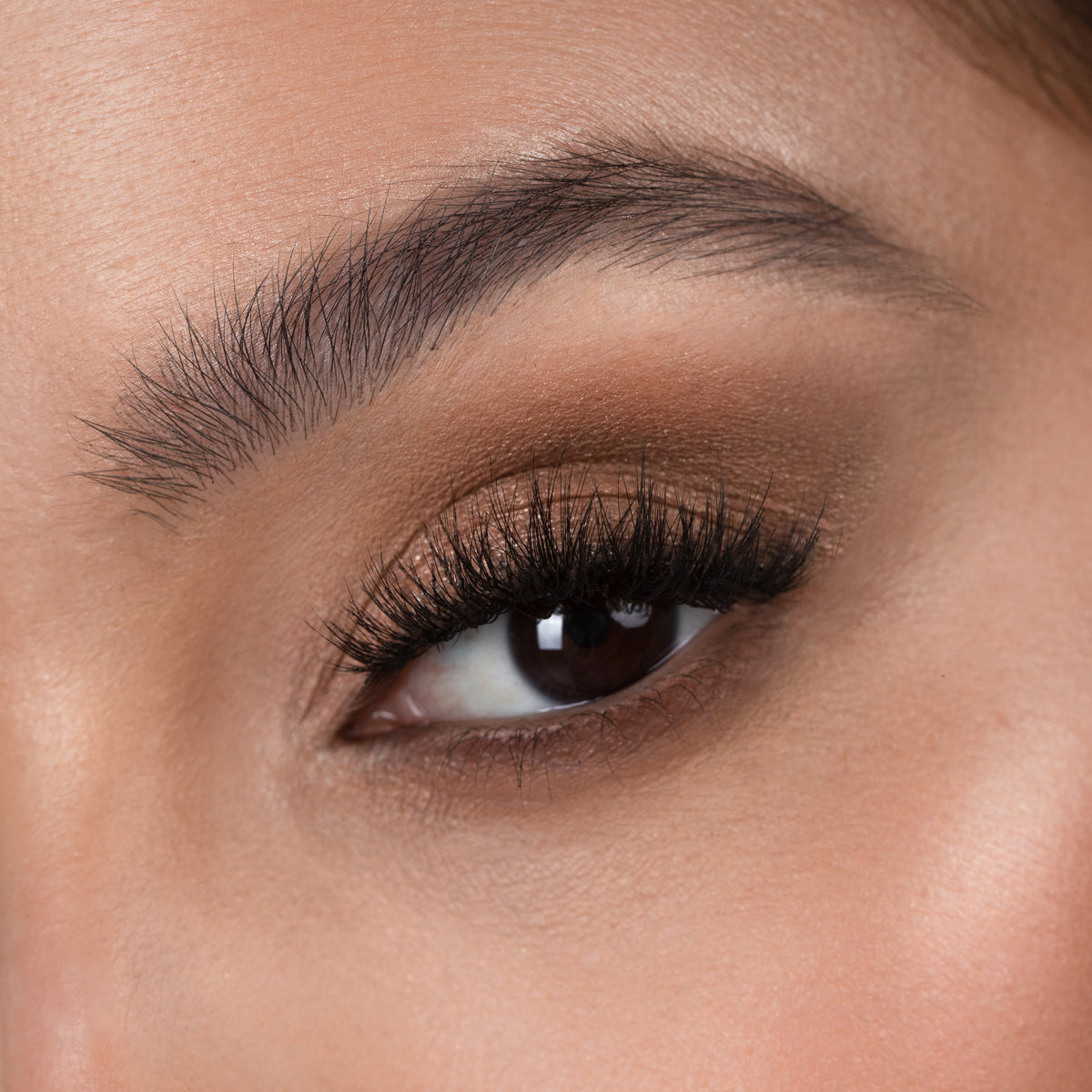 Lithe Lashes Bold Collection Style B6 - Prim & Pleated, a close up eye thumbnail image of the model's eye wearing the false lashes for an up close perspective on how elegant the falsies look on the eye.
