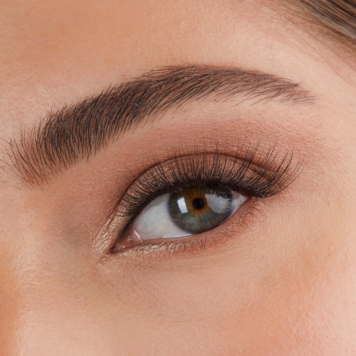 Lithe Lashes Core Collection lash style named 03 Everyday Winged, a close up eye thumbnail image of the model's eye wearing the false lashes for an up close perspective on how elegant the falsies look on the eye.