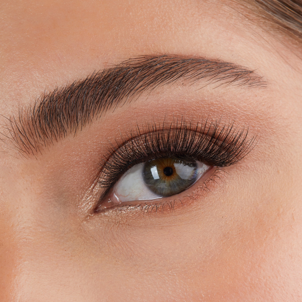 Lithe Lashes Core Collection lash style named 06 Natural and Classic, a close up eye thumbnail image of the model's eye wearing the false lashes for an up close perspective on how elegant the falsies look on the eye.